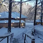 Vanessa Koprivki Area