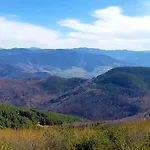 Vanessa Koprivki Area *