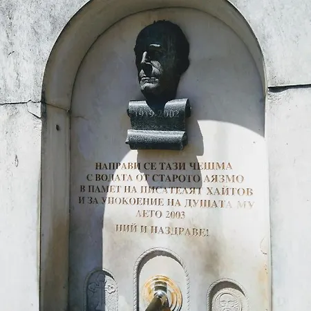 Vanessa Koprivki Area *