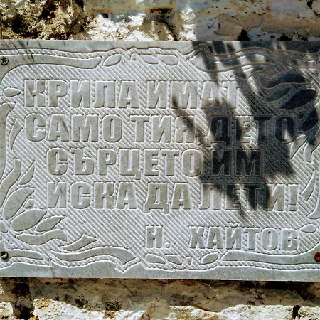 Vanessa Koprivki Area فيلة