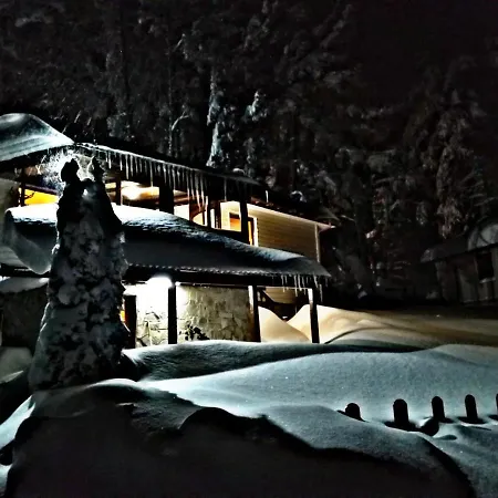 Vanessa Koprivki Area Zar-Kalojan