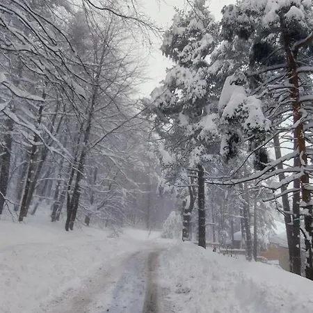 فيلة Vanessa Koprivki Area