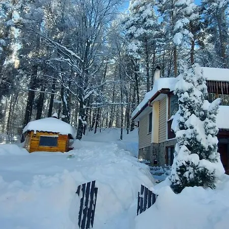 Vanessa Koprivki Area * Zar-Kalojan