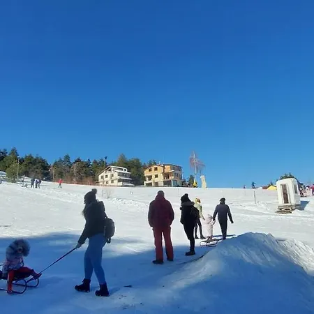 Vanessa Koprivki Area *