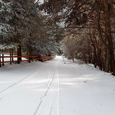 فيلة Vanessa Koprivki Area