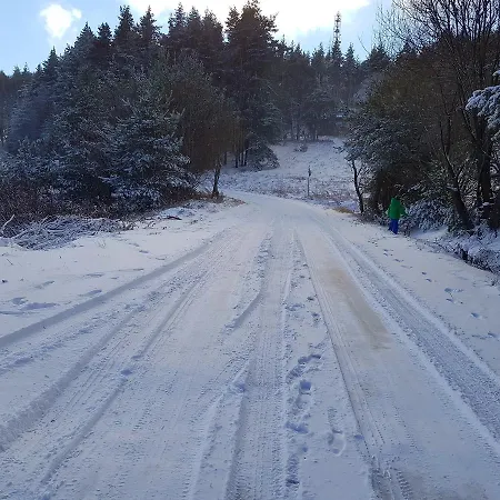 Vanessa Koprivki Area