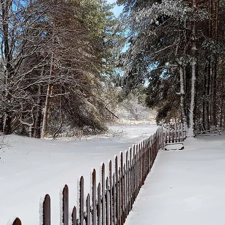 فيلة Vanessa Koprivki Area *