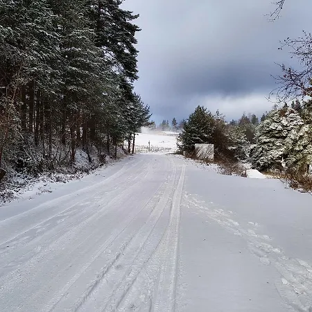Vanessa Koprivki Area فيلة Zar-Kalojan