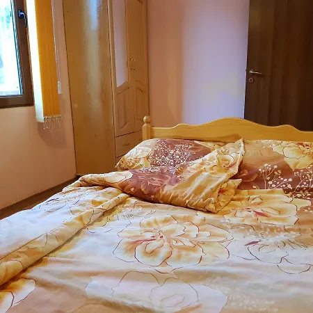 Vanessa Koprivki Area فيلة Zar-Kalojan