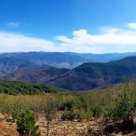 Vanessa Koprivki Area فيلة Zar-Kalojan