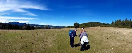 Vanessa Koprivki Area فيلة *