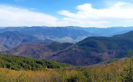 Vanessa Koprivki Area *