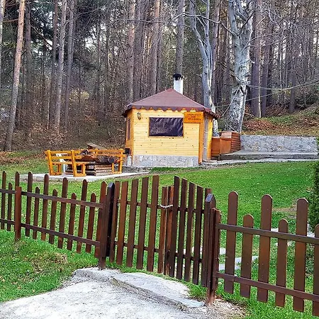 Vanessa Koprivki Area