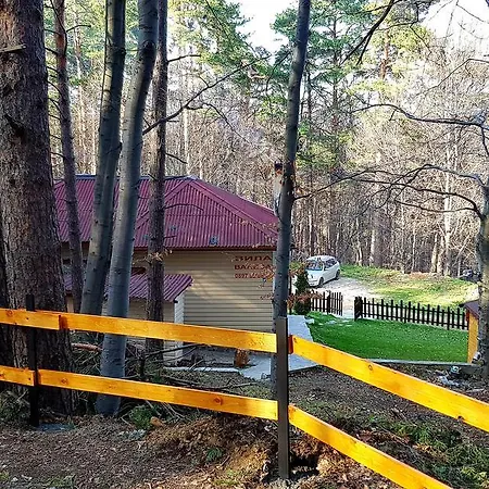 Vanessa Koprivki Area فيلة