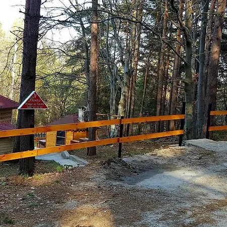 Vanessa Koprivki Area فيلة