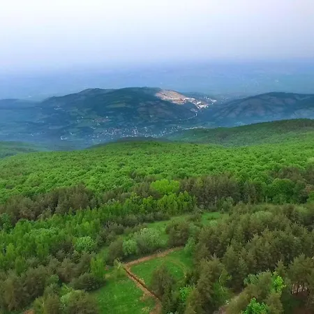 Vanessa Koprivki Area فيلة