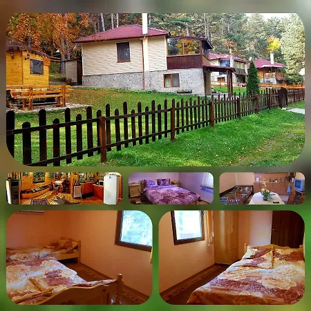 Vanessa Koprivki Area فيلة *