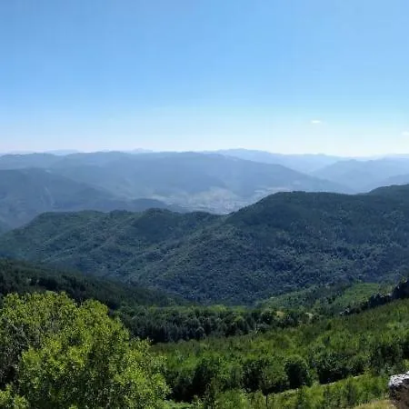 Vanessa Koprivki Area فيلة