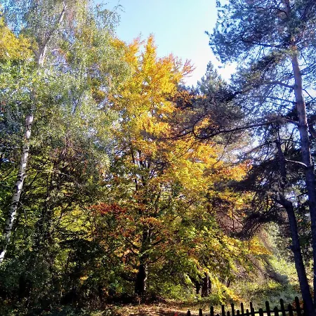 Vanessa Koprivki Area Villa Zar-Kalojan