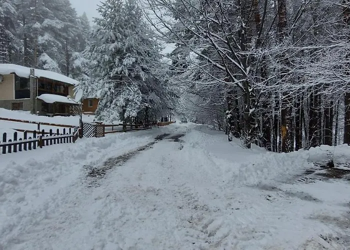 Vanessa Koprivki Area Tsar Kaloyan (Plovdiv)