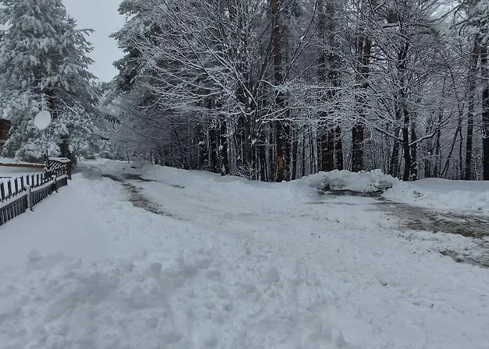 Vanessa Koprivki Area Villa