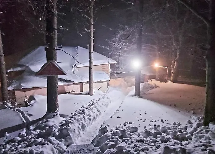 Vanessa Koprivki Area