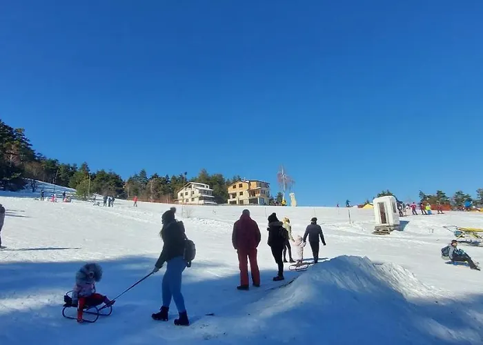 Vanessa Koprivki Area *