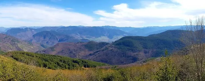 Vanessa Koprivki Area *