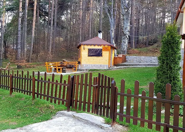 Vanessa Koprivki Area