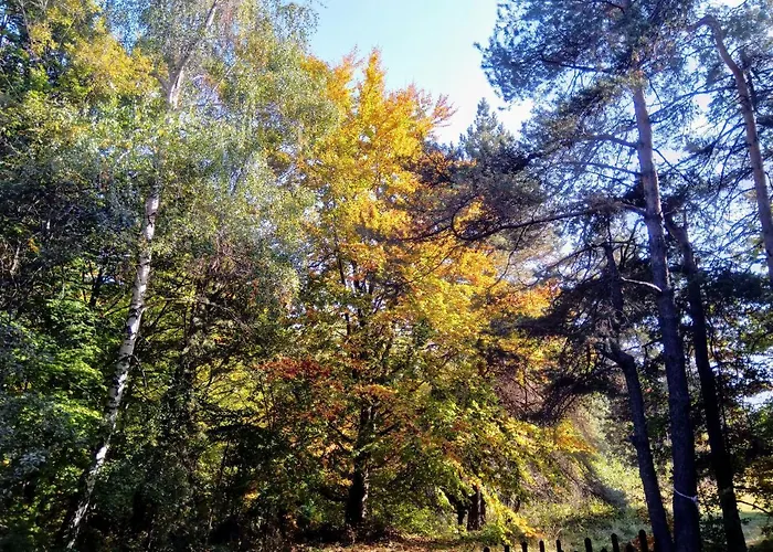 Vanessa Koprivki Area Villa Tsar Kaloyan (Plovdiv)